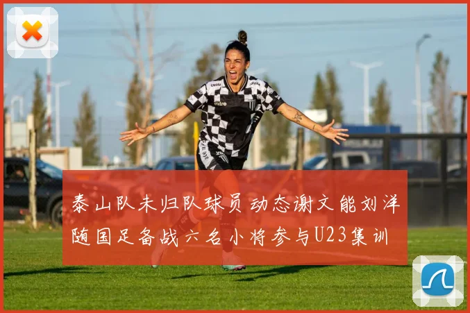 泰山队未归队球员动态谢文能刘洋随国足备战六名小将参与U23集训