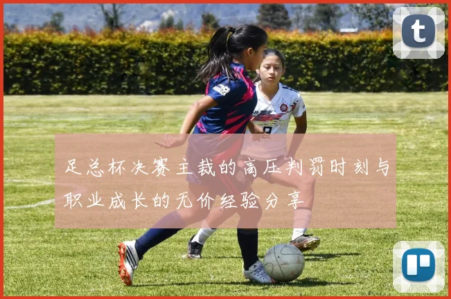 足总杯决赛主裁的高压判罚时刻与职业成长的无价经验分享