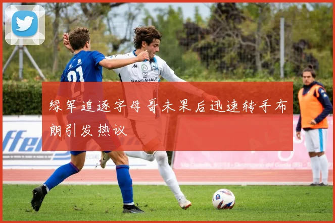 绿军追逐字母哥未果后迅速转手布朗引发热议